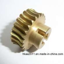 Stepper Motor Worm Gear, Gear Worm, Mini Worm Gear